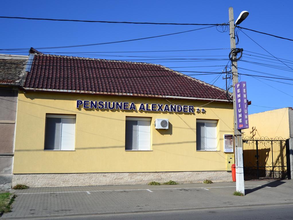 Pensiunea Alexander Арад Экстерьер фото