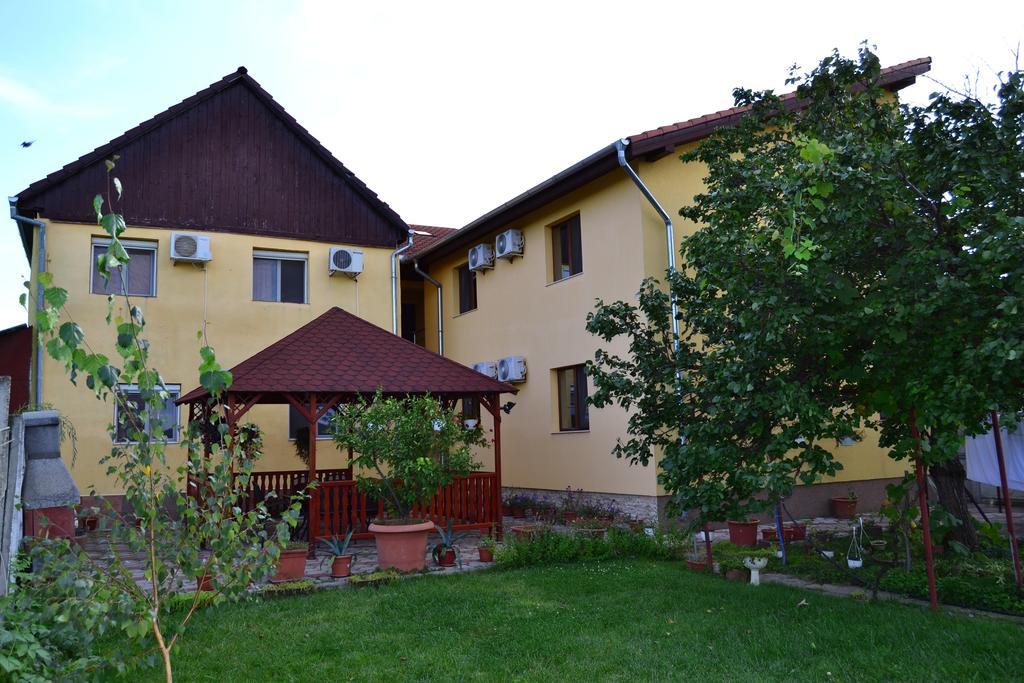 Pensiunea Alexander Арад Экстерьер фото